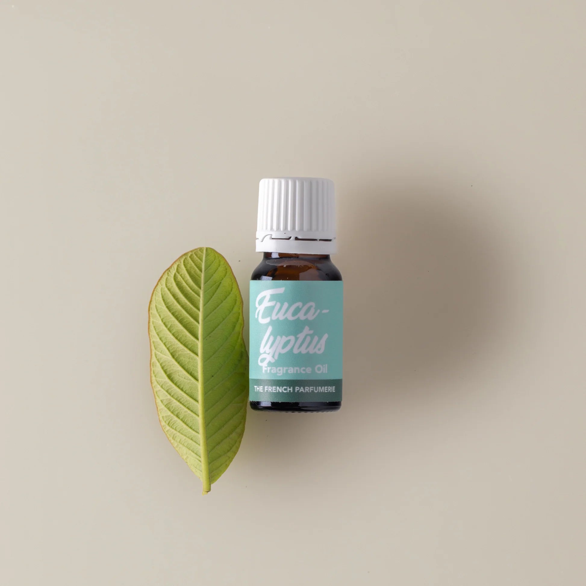 TFP Eucalyptus Fragrance Oil 10ml